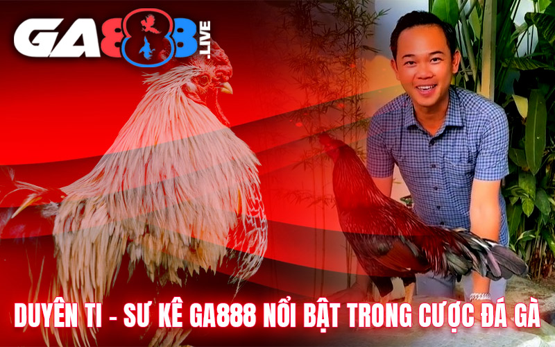Duyên Ti – Sư Kê GA888 Nổi Bật Trong Cược Đá Gà Duyên Ti - Sư Kê GA888 Nổi Bật Trong Cược Đá Gà
