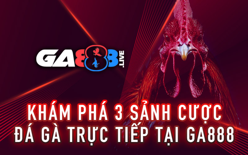 Khám phá 3 sảnh cược đá gà trực tiếp tại GA888 Khám phá 3 sảnh cược đá gà trực tiếp tại GA888